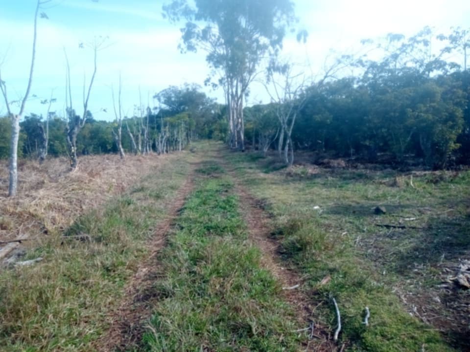 Foncier agricole